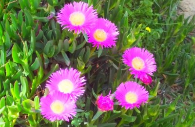 Spagna e Portogallo 2017, in sosta libera in camper