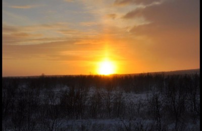 Laika Arctic Experience - Day 18 in camper