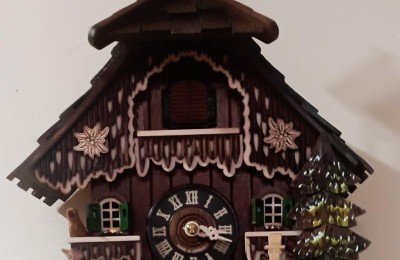 Foresta Nera in camper 