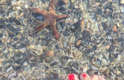 Sicilia settentrionale in camper