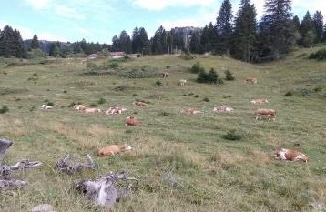 Tra Veneto e Trentino in camper