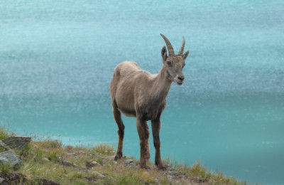 Valle D'Aosta 2025 in camper