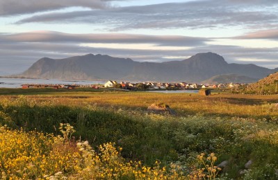 Norvegia e Isole Lofoten in camper
