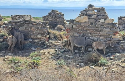 Sardegna in camper: settembre 2025