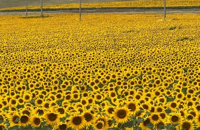 Viaggio in Romania in camper