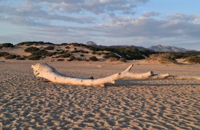 Il paradiso può attendere, la Sardegna no! Tour in camper.