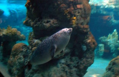 Week-End a Genova in camper