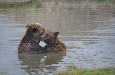 Viaggio in Austria Ungheria e Slovenia - Agosto 20 in camper