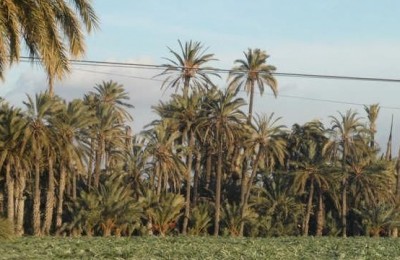 Spagna e Gibilterra in camper