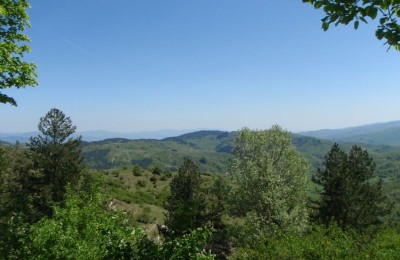 Dalle Foreste Casentinesi all'Adriatico in camper