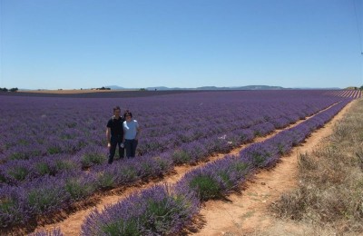 Provenza, Pirenei e Perigord in camper