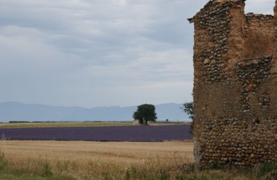 Ritorno in Provenza, fra i campi di lavanda  in camper