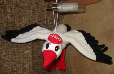 Luna di miele in camper in Olanda, Belgio, Germani