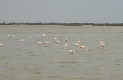In giro per la Francia del Sud in camper