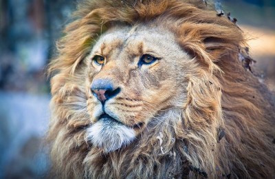 Gita allo Zoo e mare in camper