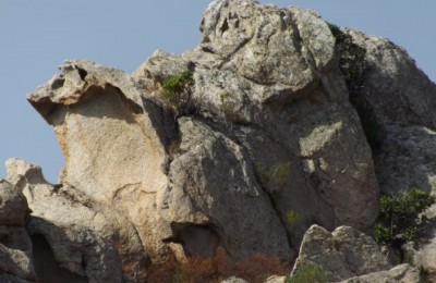 corsica del nord in camper