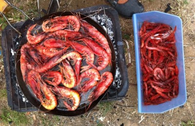 Svernare in Sicilia, nel Sud della Sicilia! in camper