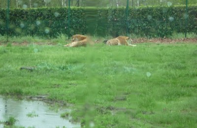 PIEMONTE E LIGURIA in camper