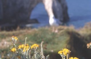 Normandia 2007 in camper