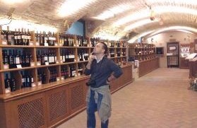 Emilia Romagna a naso... in camper