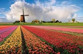 OLANDA CON BAMBINI - Pasqua 2014 in camper