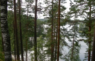 Rally dei Mille Laghi in camper