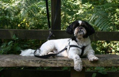 Viaggio alla scoperta della Scozia e dintorni in camper