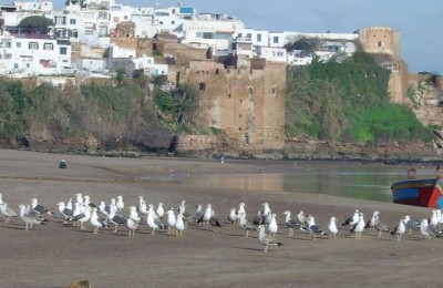 Da Ceuta a Sidi Ifni in camper