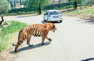 Vacanza in Puglia, Matera e finendo sul Gran Sasso in camper