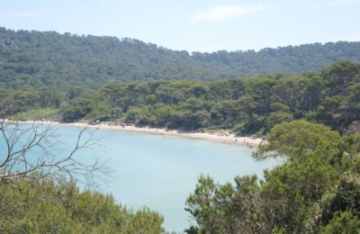 Costa Azzurra, Camargue, Provence in camper