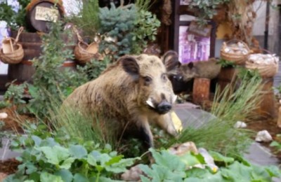 Luglio in giro per l'Italia, mare e montagna in camper