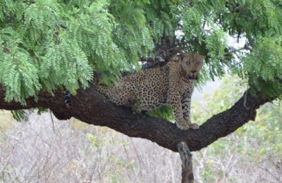 Sudafrica 2016 in camper