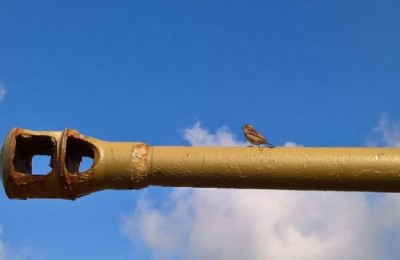 I primi passi sulle spiagge dello sbarco in camper