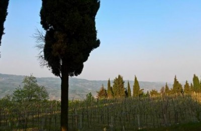 Un ponte tra vigneti... e Prosecco in camper
