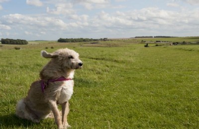 Inghilterra del sud 2017 in camper