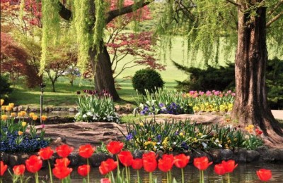 Gita al parco Sigurtà di Valeggio sul Mincio in camper