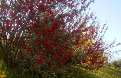 Liguria: Parco del Beigua in camper