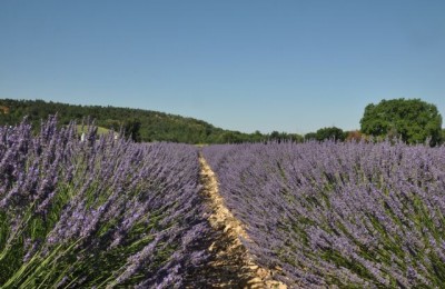 Parc Naturel Regional du Verdon e Luberon in camper