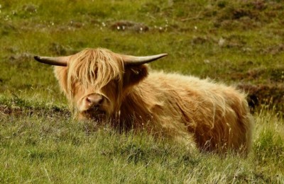 Magica Scozia in camper