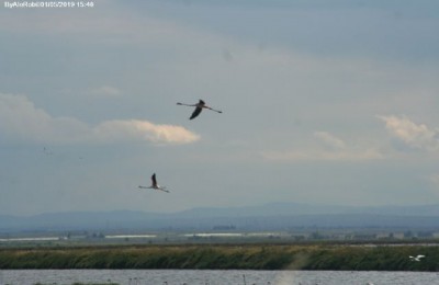 Puglia 2019 in camper