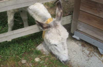 Weekend nel Biellese in camper