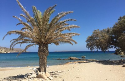 Creta on the road in camper