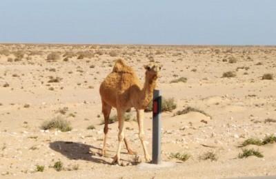 Il mio Marocco - marzo 2019 in camper