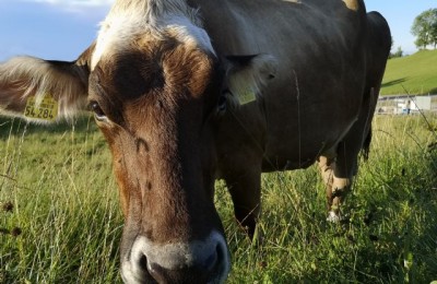 Trentino e Baviera - Agosto 2019 in camper