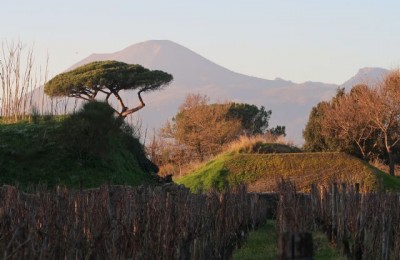 Capodanno 2020 tra Toscana e Campania in camper