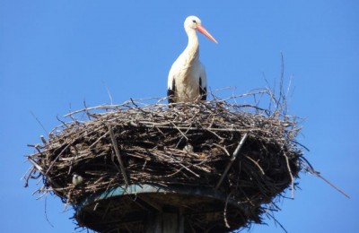 Pasqua in Alsazia  in camper