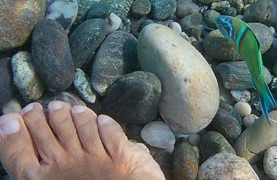 Giro della Calabria in camper