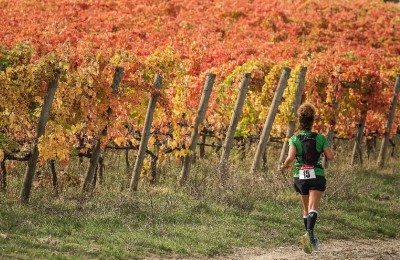 Sagrantino Running – The Wine Trail