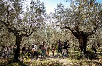 Frantoi Aperti in Umbria 