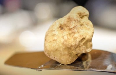 Fiera Internazionale del Tartufo Bianco d'Alba